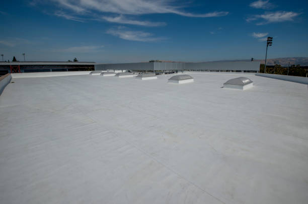 Best Roof Moss and Algae Removal  in Temecula, CA